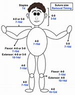 Image result for 5Cm Size in Hand Measurement