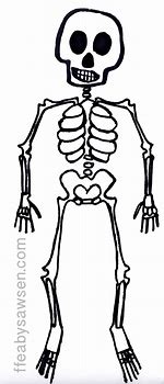 Image result for Human Skeleton Print Cut Outs