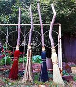 Image result for Western Hemlock Witches Broom