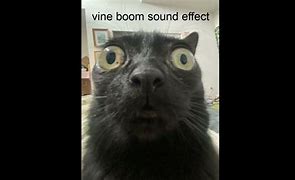 Image result for Vine Sound Memes