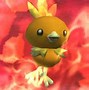 Image result for Torchic Human