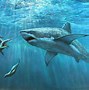 Image result for Great White Wallpaper Paper