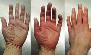 Image result for iPhone 6 Plus Touch Disease