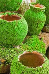 Image result for Moss Rock in Landscaping