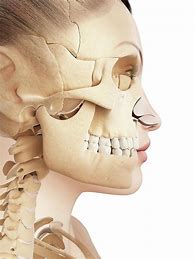 Image result for Jawbone Body