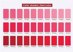 Image result for Color Rojo