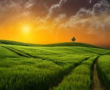 Image result for Grass Valley Wallpaper