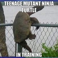Image result for Cringe Turtle Meme