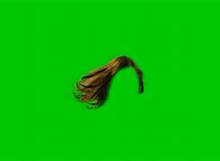 Image result for Hair On Screen No BG