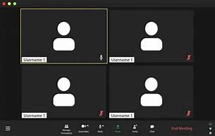 Image result for Zoom Screen Layout