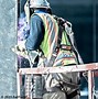 Image result for Body Harness Component