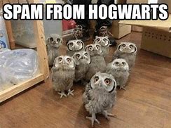 Image result for Harry Potter Meme Mug