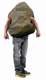 Image result for The Rock Costume