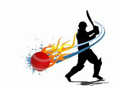 Image result for Cricket Pic PNG