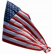 Image result for Sparkly American Flag