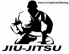 Image result for Brazilian Jiu-Jitsu
