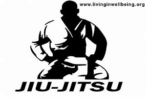 Image result for Brazilian Jiu Jitsu Fighters