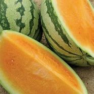 Image result for Orange Watermelon