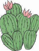 Image result for Blooming Cactus Clip Art
