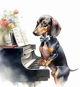 Image result for Flower Dog Piano And