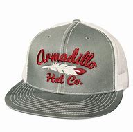 Image result for Armadillo Hat Co Logo