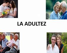 Image result for acultez