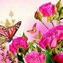 Image result for Pink Roses with Butterflies