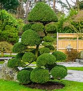 Image result for Artificial Ivy Topiary Tree