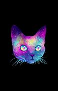 Image result for Galaxy Cat HD