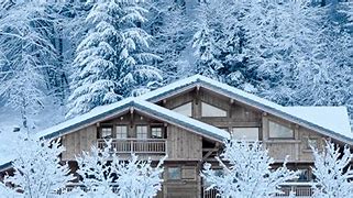 Image result for Alpine French Style