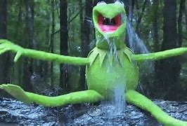 Image result for Kermit Ice Bucket Challenge Meme