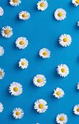 Image result for Cute Yellow and Blue Wallpapers