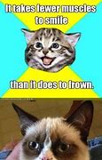 Image result for Rip Grumpy Cat