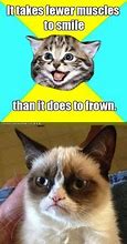 Image result for Customer Service Cat Meme