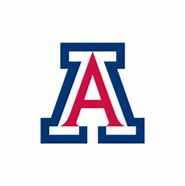 Image result for Wildcats Airzona