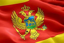 Image result for Montenegrin Flag