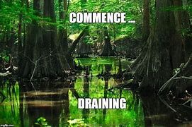 Image result for Swamp Demon Meme
