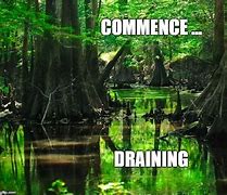 Image result for Swamp Meme
