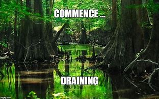 Image result for Swamp Creature Meme