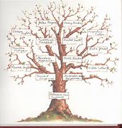 Image result for Family Tree Background
