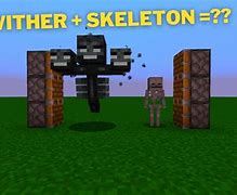 Image result for A Wither Skeleton