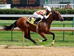Image result for Horse Racing Android Wallpaper
