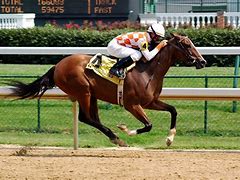 Image result for Wallpaper 4K Horse Racing