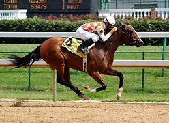 Image result for Racing Horses 256X256