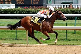 Image result for Horse Racing Wallpaper Designs