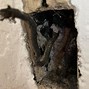 Image result for Old Cloth Electrical Wiring