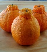 Image result for Sumo Oranges