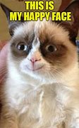 Image result for Grumpy Cat Happy Face