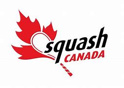 Image result for Fried Squash Logo