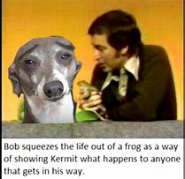 Image result for Kermit Meme Long Face Dog
